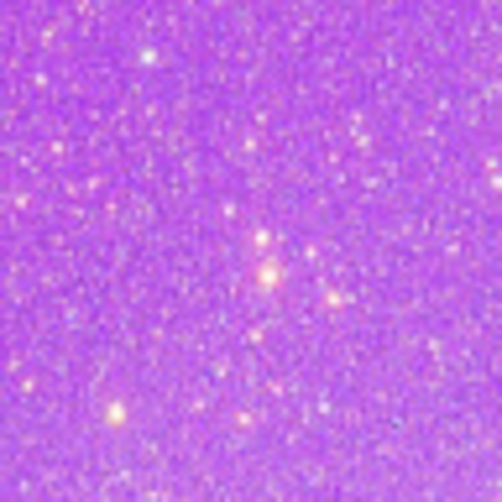 Meet your Posher, Cellular.andromeda